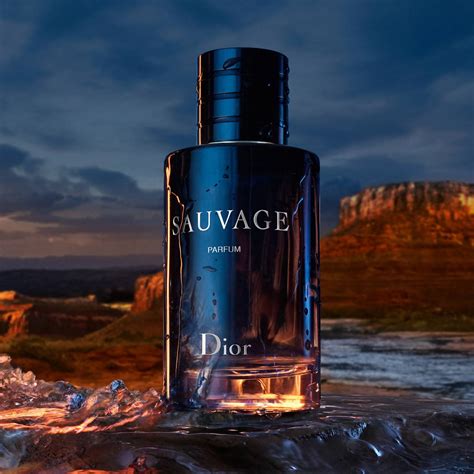 sauvage dior profumo eau de parfum|dior sauvage eau de parfum 100ml best price.